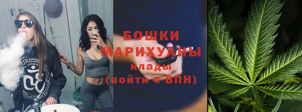 дживик Володарск