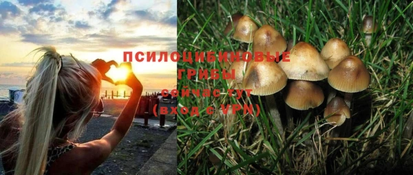 кокс Волоколамск