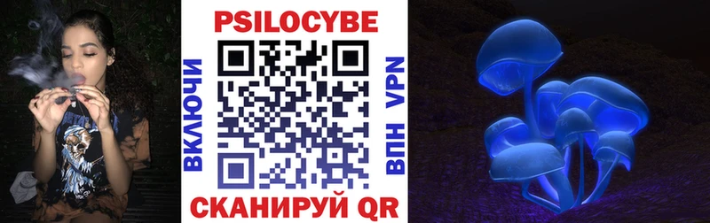 сколько стоит  Ивдель  Псилоцибиновые грибы Psilocybe 